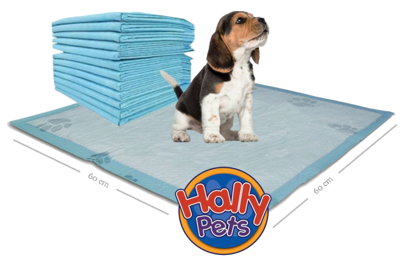 Tapete de entrenamiento absorbente para mascota