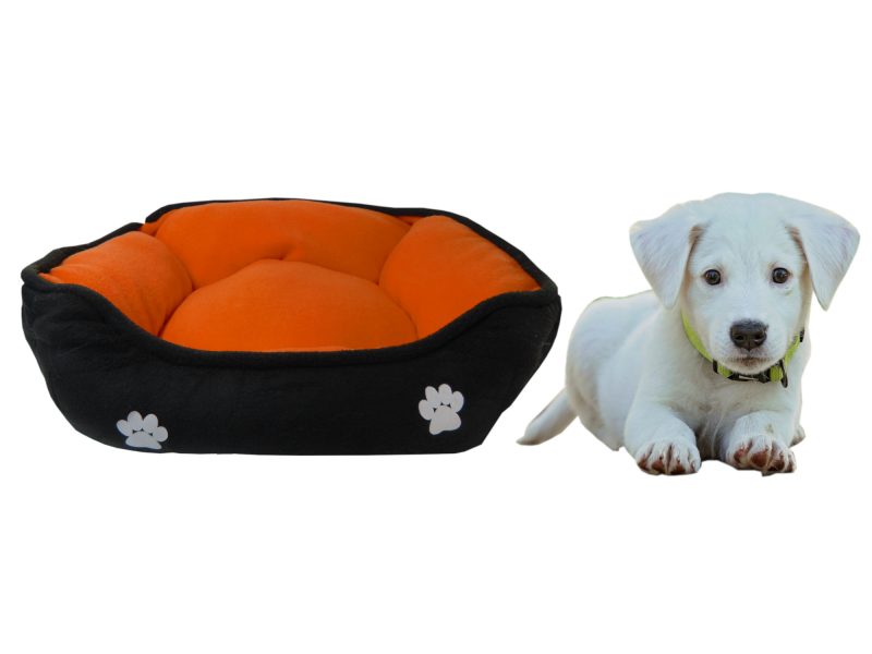 Cama grande doble faz para mascota