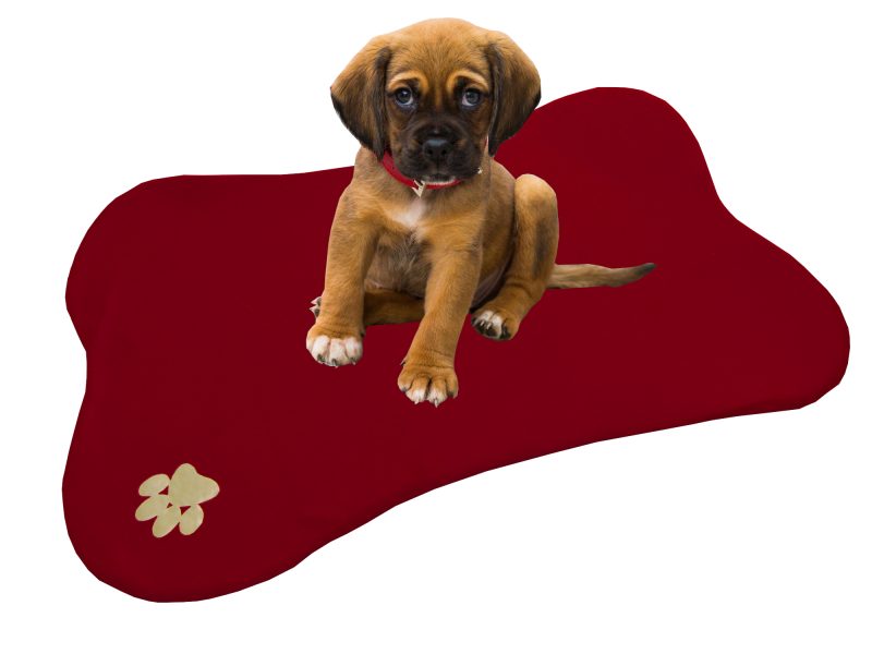 Cama en forma de hueso para mascotas - Image 2
