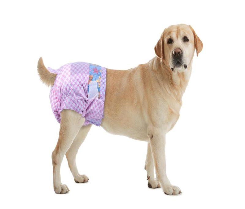 Pañal Desechable Para Mascota Hembra Talla L Por 10 Und - Image 2